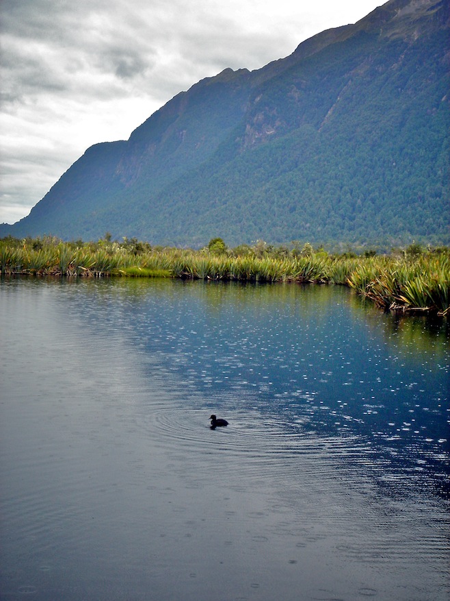 Milford Sound4